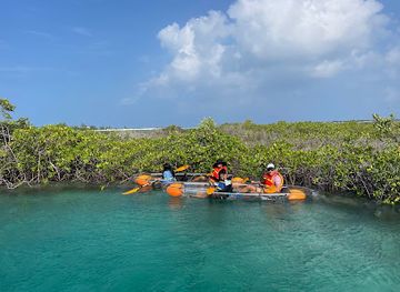 turks-and-caicos-islands/north-caicos/landmark/rising-tide-tours