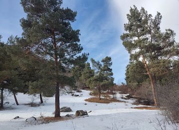 armenia/sisian-petroglyphs/landmark/soninere_antar