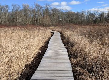 connecticut/the-quiet-corner/landmark/little-pond-boardwalk-trail