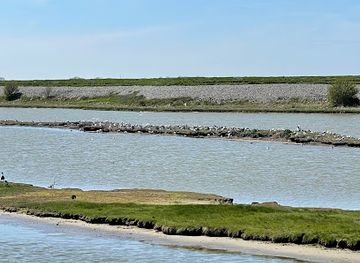 netherlands/texel-island/landmark/wagejot-natuurmonumenten