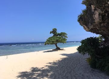 tonga/ha-apai-islands/landmark/oholei-beach