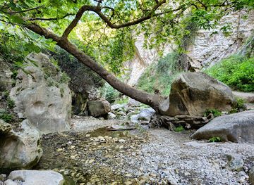 cyprus/machairas-forest/landmark/avakas-gorge-nature-trail