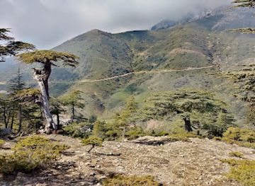 algeria/tidikelt/landmark/tikjda-national-park