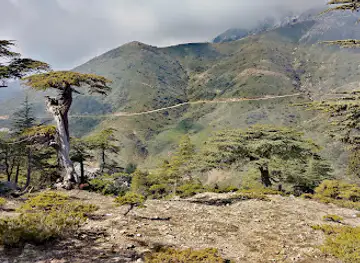 Tikjda National Park