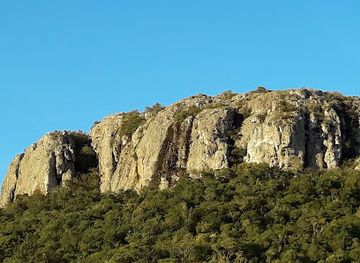 uruguay/cerro-arequita/landmark/monte-de-ombu