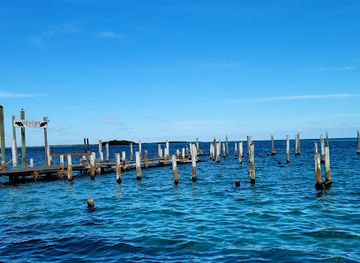 the-bahamas/bimini-islands/landmark/bimini-big-john-s