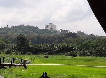 nigeria/south-west/landmark/dache-foods