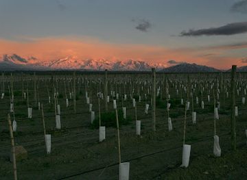argentina/cuyo/landmark/dragonback-estate