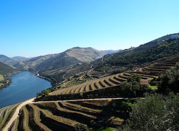 portugal/douro/landmark/new-douro-tour