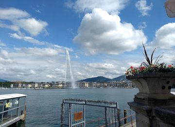 switzerland/geneva/landmark/mouettes-genevoises