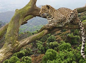 rwanda/volcanoes-national-park/landmark/african-travellers-ltd