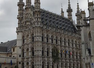 belgium/limburg/landmark/historic-leuven-town-hall
