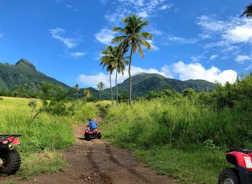 saint-kitts-and-nevis/sandy-point-town/landmark/jungle-bikes-atv-tours
