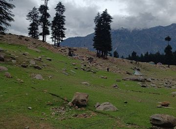 pakistan/swat/landmark/ushu-forest