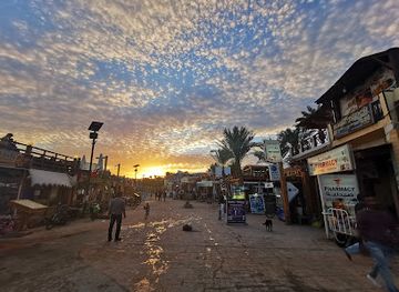 egypt/dahab/landmark/octopus-world-dahab-dive-center