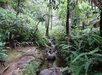 sri-lanka/horton-plains-national-park/landmark/galway-s-land-national-park