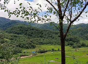 india/northeast-india/landmark/dzuleke