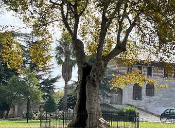 turkiye/istanbul/sultanahmet/landmark/the-hollow-tree