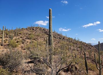 arizona/verde-valley/landmark/reid-park-zoo