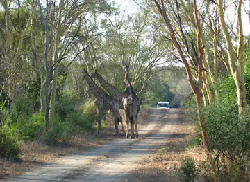 Lengwe National Park