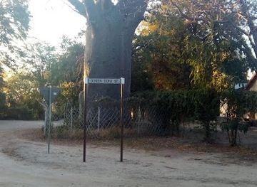 namibia/katima-mulilo/landmark/toilet-tree
