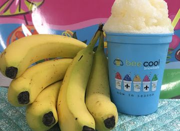 louisiana/houma/landmark/bee-cool-snowballs