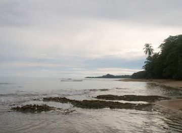 costa-rica/caribbean-coast/landmark/casa-nube