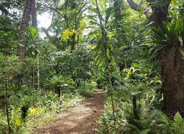 new-caledonia/isle-of-pines/landmark/grotte-de-la-reine-hortense