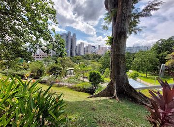 singapore/chinatown/landmark/fort-canning-tree-tunnel