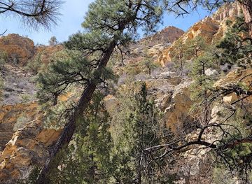 utah/dixie/landmark/box-death-hollow-wilderness