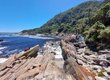 south-africa/tsitsikamma-national-park/landmark/tsitsikamma-canopy-tours
