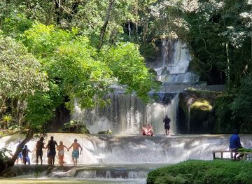 jamaica/black-river-great-morass/landmark/appleton-estate-rum-tour