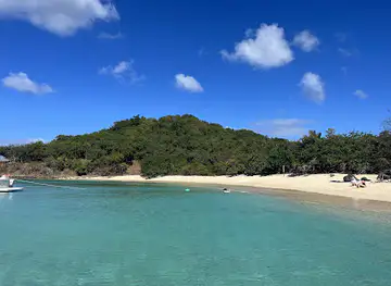 Bright Paddle