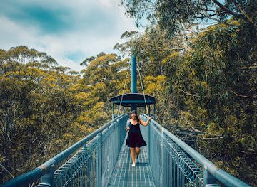 australia/illawarra/landmark/illawarra-fly-treetop-adventures