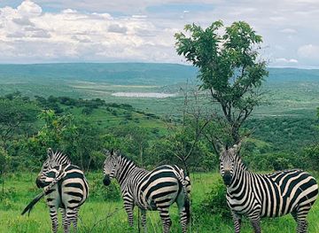 rwanda/akagera-national-park/landmark/t-a-luxury-safaris-ltd