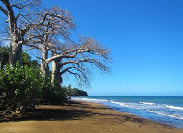 mayotte/tsingoni/landmark/plage-de-sakouli