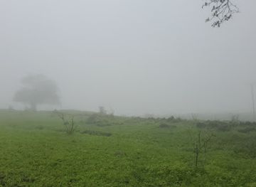 oman/mirbat/landmark/areen-smhan