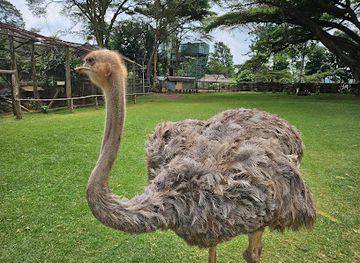 kenya/mount-kenya-region/landmark/mount-kenya-wildlife-conservancy