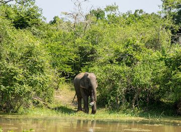sri-lanka/yala-national-park/landmark/bundala-national-park