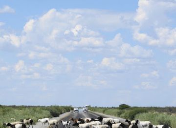 botswana/nxai-pan-national-park/landmark/makadikadi-basin