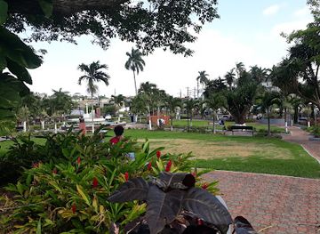 jamaica/manchester-plateau/landmark/cecil-charlton-park