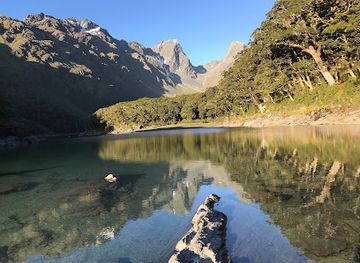 new-zealand/fiordland-national-park/landmark/routeburn-track