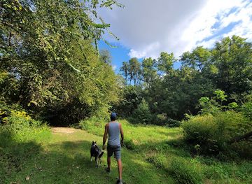 kentucky/owensboro/landmark/rudy-mines-mountain-bike-trails-at-ben-hawes-park