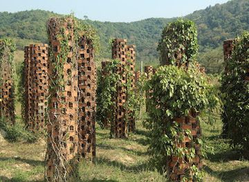 cambodia/kep/landmark/kampot-pepper-farm