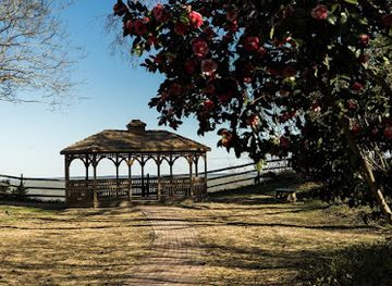 virginia/hampton-roads/landmark/fort-boykin