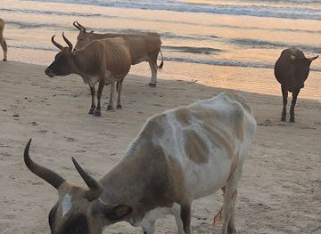 senegal/cap-skirring/landmark/vacas-point