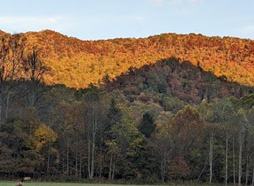 north-carolina/great-smoky-mountains/landmark/oconaluftee-island-park