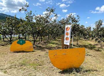 japan/chikugo/landmark/migita-orchard