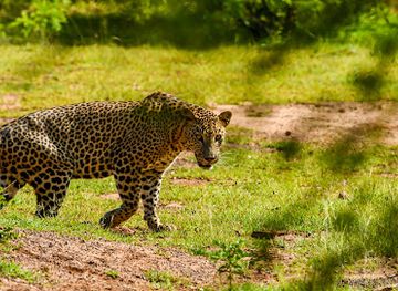sri-lanka/yala-national-park/landmark/lunugamvehera-national-park-yala-block-vi-by-wildtrails-safari