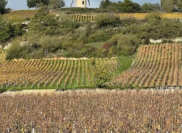 france/burgundy-vineyards/landmark/safari-tours